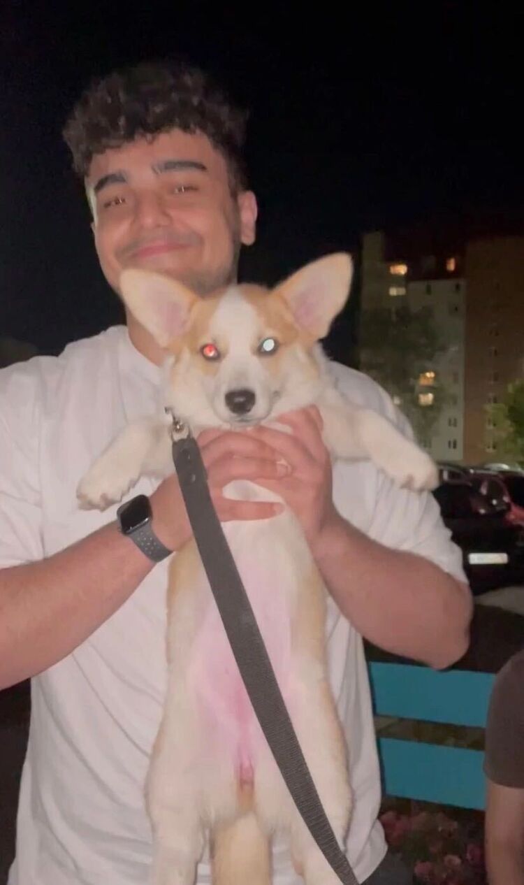 ���� 30410851 ����� ������, 22 ����, ���� ���������� � �����-����������