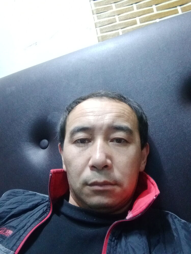  47630921  , 38 ,    