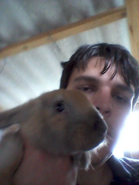 ���������� �����������, ���� ������� �������, 34 ����, ������������ ��� ������, ����� � ���������, c�������� ���������