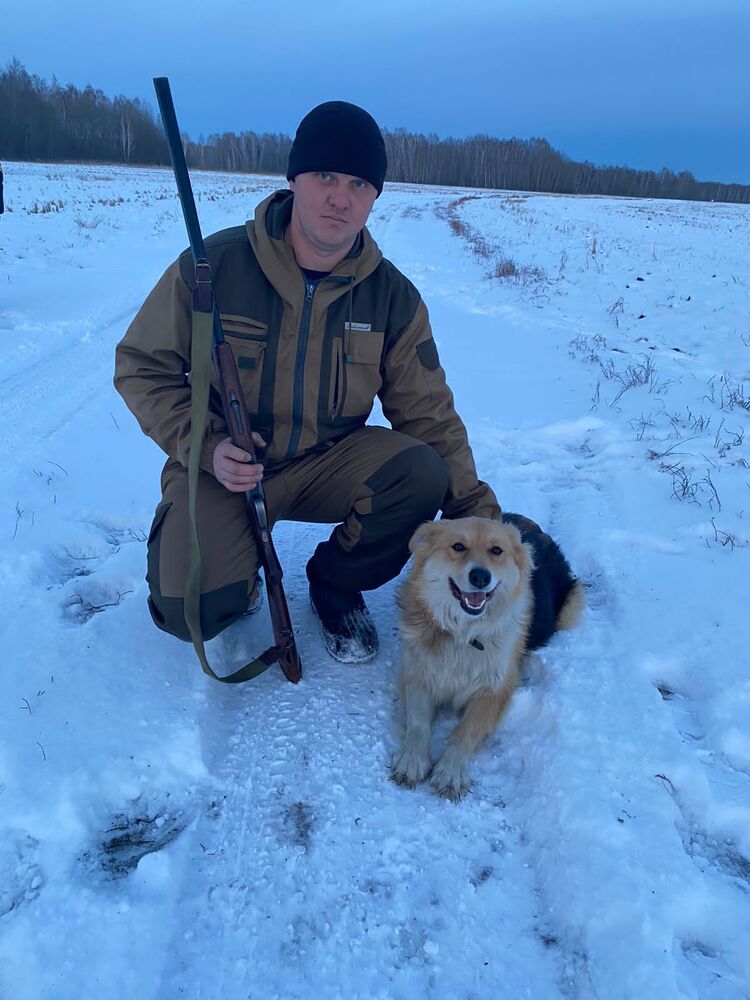 ���� 56242871 ������� ���������, 31 ���, ���� ���������� � ����������