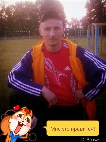  ,   Vl, 38 ,   