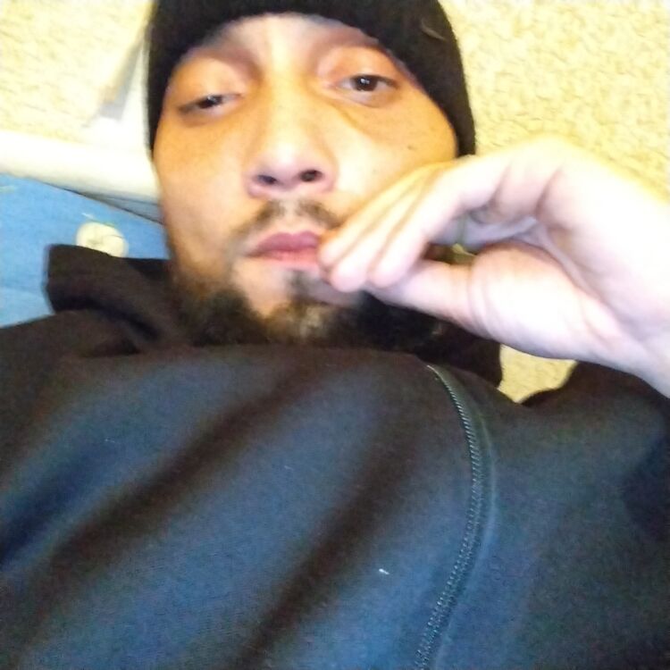  38794561  , 31 ,    