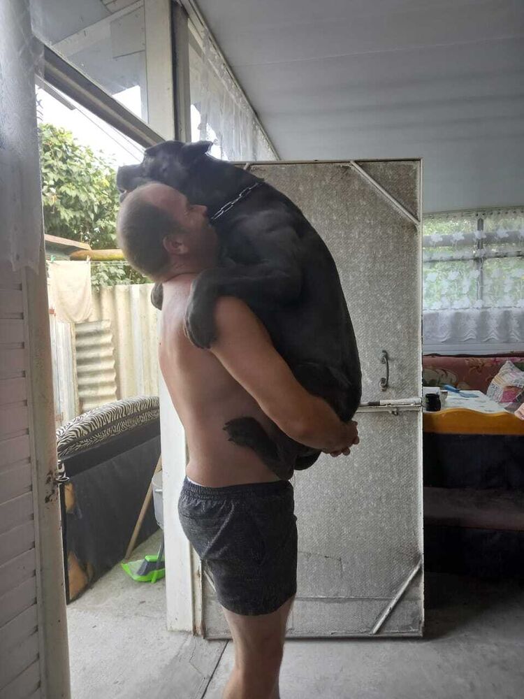 ���������� ���������, ���� ������� Sergey, 43 ����, ������������ ��� ������, ����� � ���������