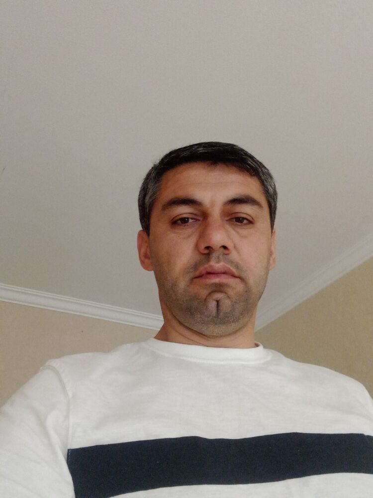  29443651  , 43 ,    
