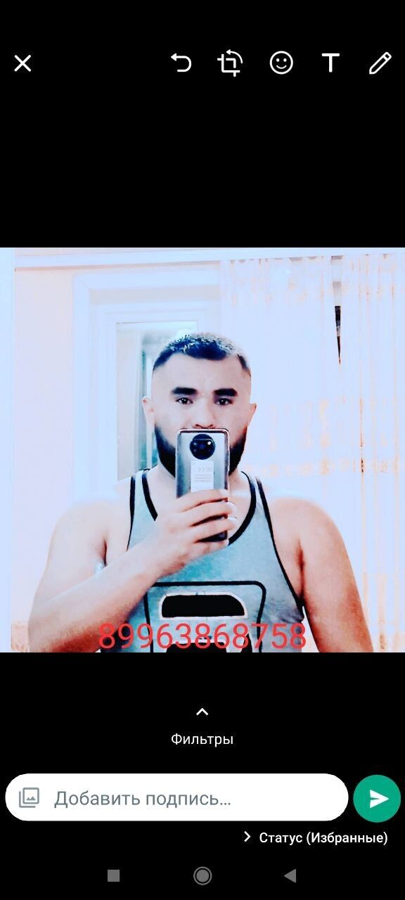  31729031  , 27 ,    