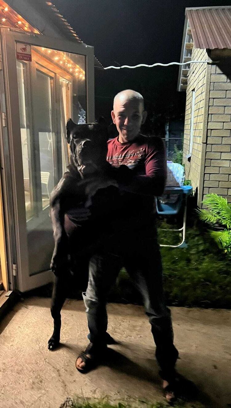 ���������� ������, ���� ������� ������, 46 ���, ������������ ��� ������, ����� � ���������