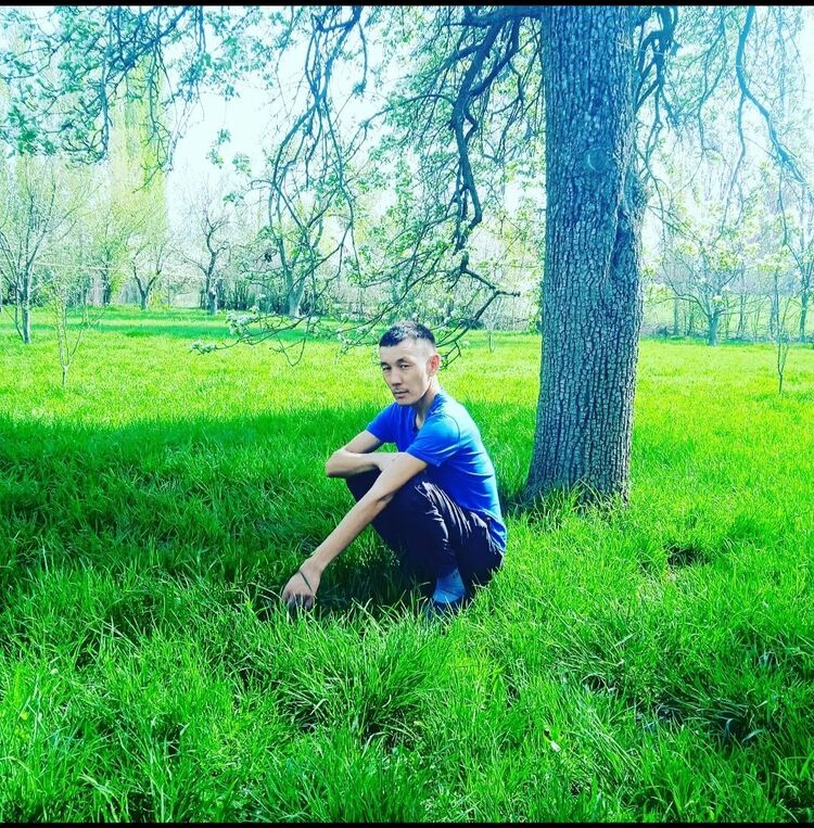 ���������� �������, ���� ������� �����, 36 ���, ������������ ��� ������, ����� � ���������, c�������� ���������, ���������