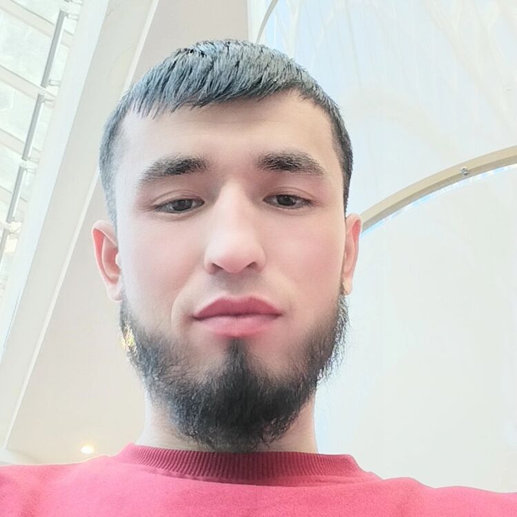  41301481  , 29 ,    