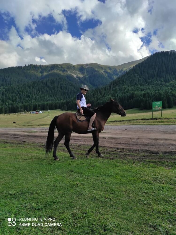 ���� 26565241 ������� ����, 31 ���, ���� ���������� � ���������