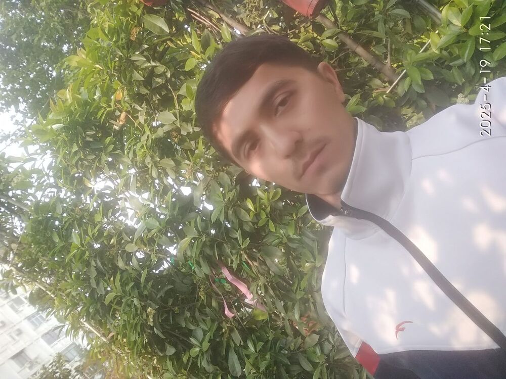  52695241  , 34 ,    