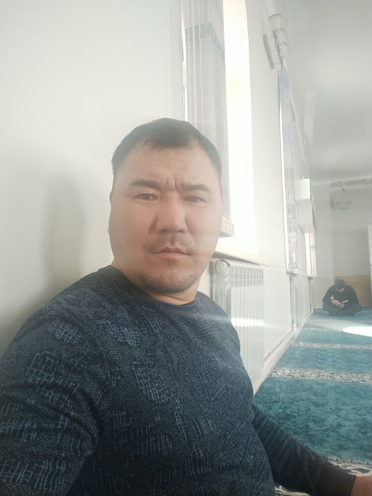  42931771  , 49 ,    