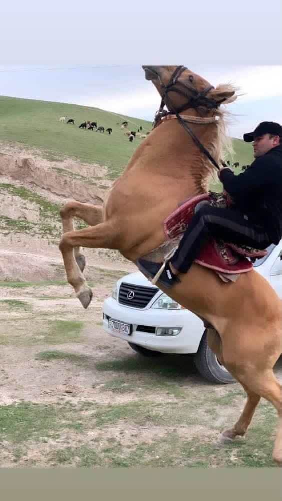  39864271  Ahtam, 26 ,    -