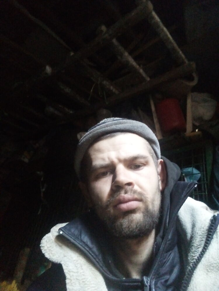  22407981  , 33 ,    