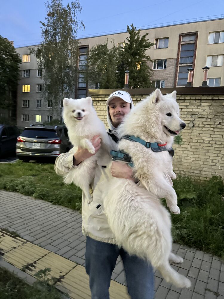 ���������� ��������, ���� ����� ����, 24 ����, ������������ ��� ������, ����� � ���������