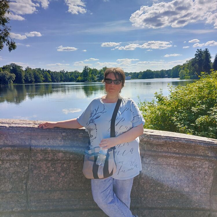  54059031  , 50 ,    -