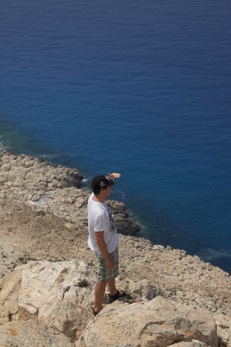 ���� 6254401 ������� ����, 44 ����, ���� ���������� � �����������