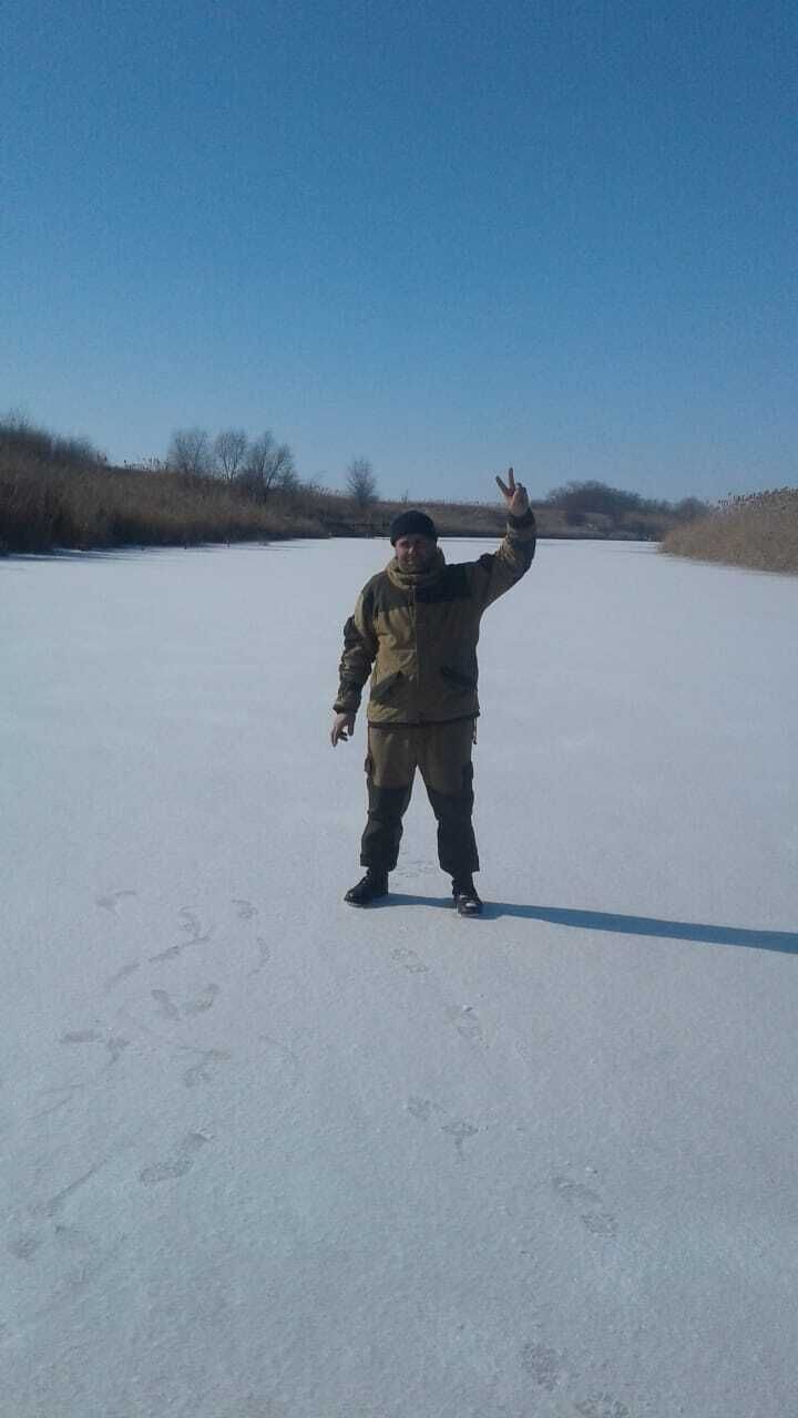  37175691  , 39 ,     