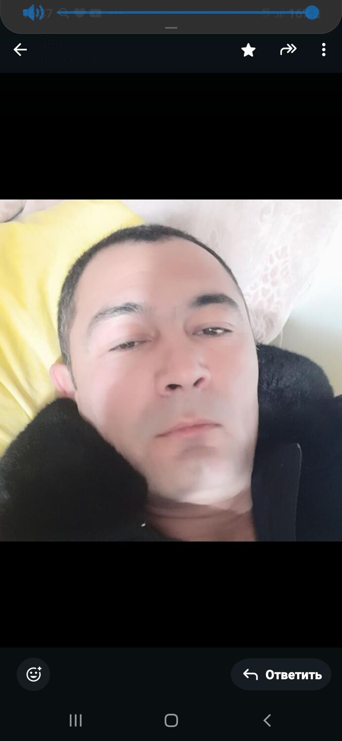  49555751  , 40 ,    