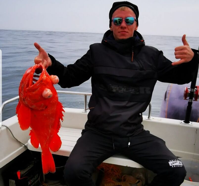  31041241  , 30 ,    -