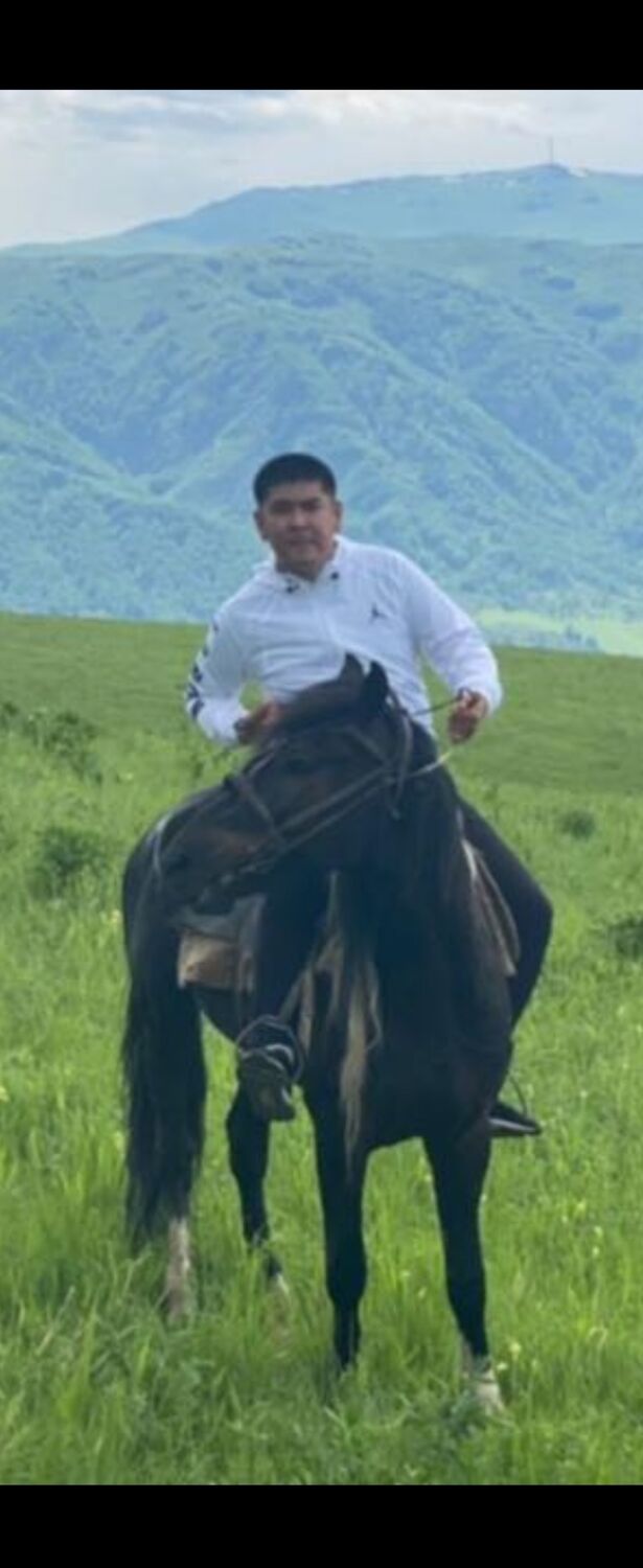 ���� 23836521 ������� ������, 40 ���, ���� ���������� � ������