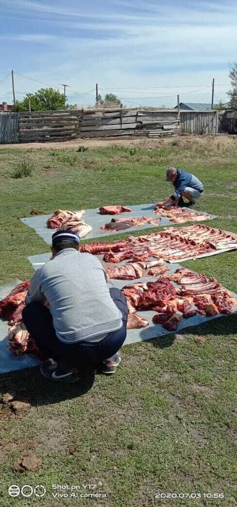 ���� 20451851 ������� ����, 41 ���, ���� ���������� � ���������