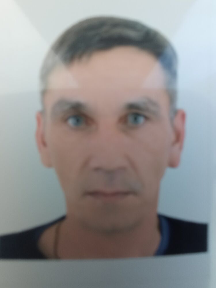  25336511  , 48 ,    