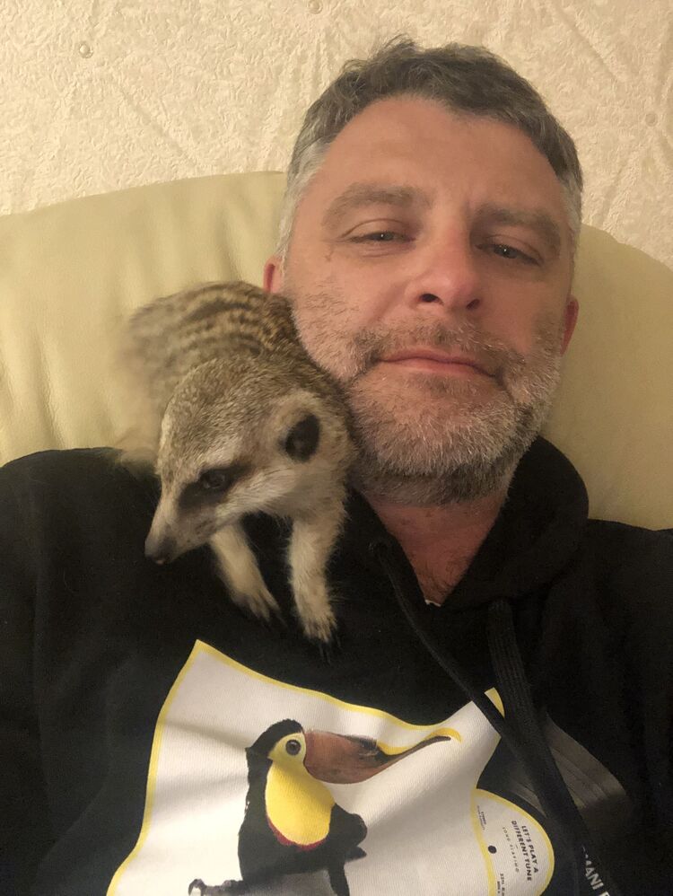  ,   , 46 ,   ,   