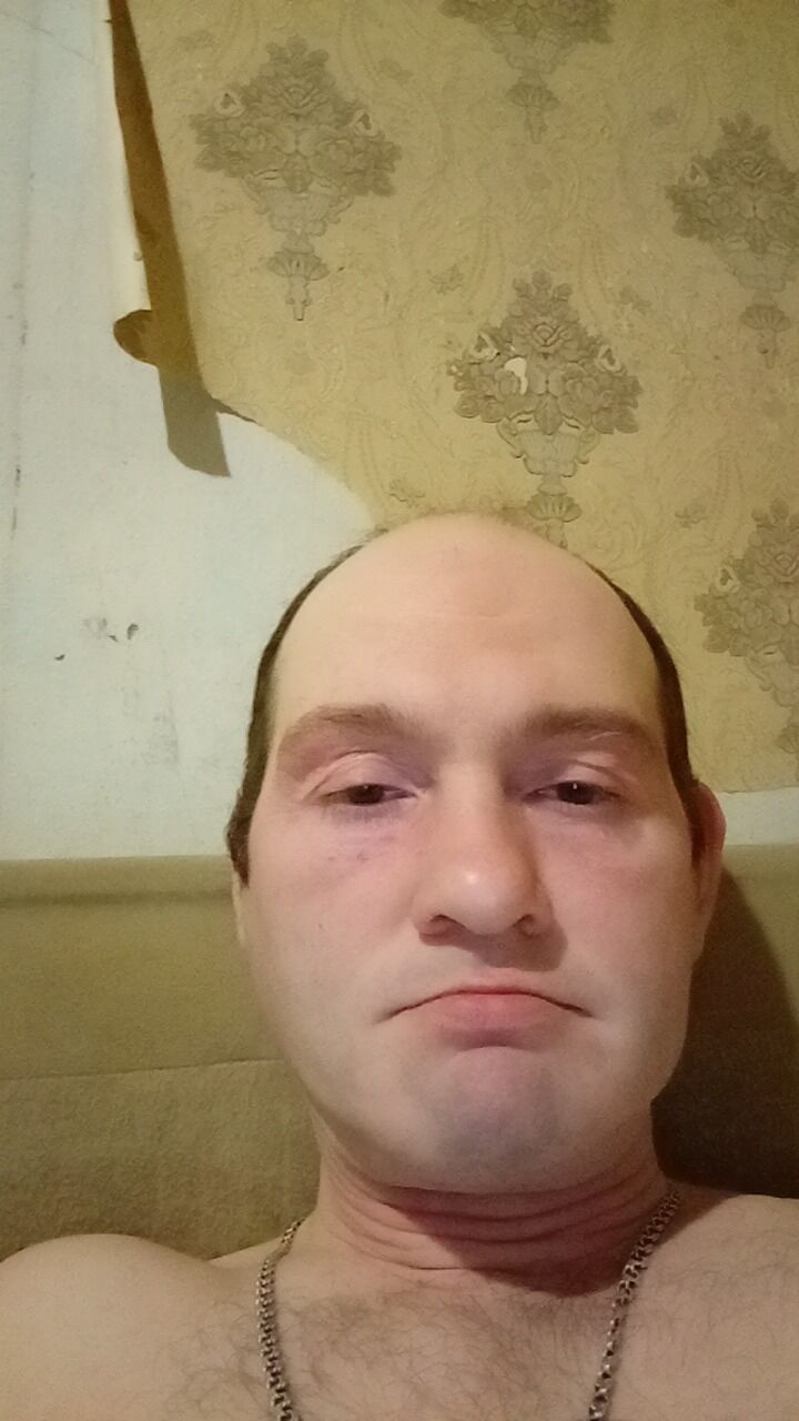  42422581  , 43 ,    