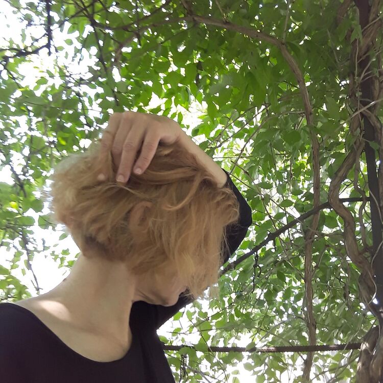   ,   , 52 ,  