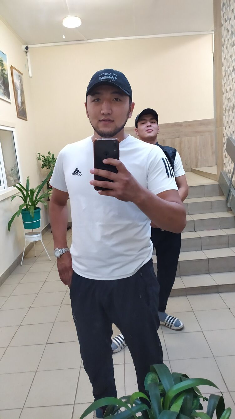  44533181  , 24 ,    