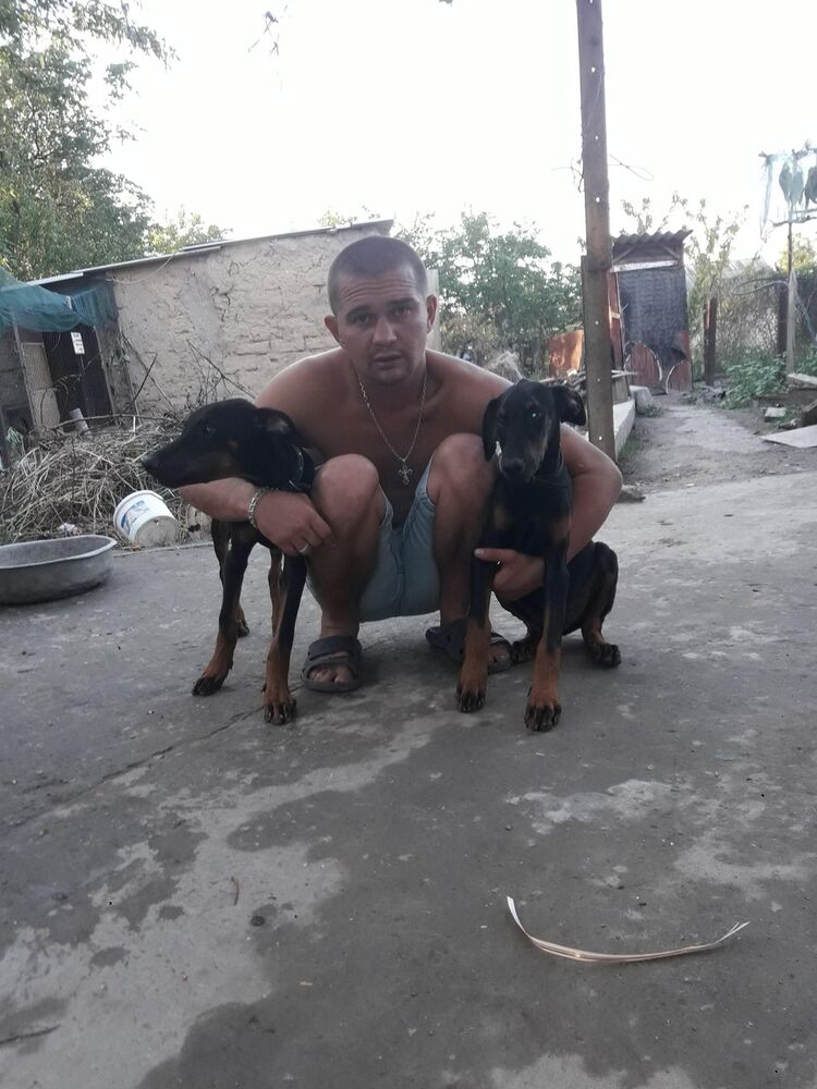 ���������� ���������, ���� ������� ������, 36 ���, ������������ ��� ������, ����� � ���������, c�������� ���������