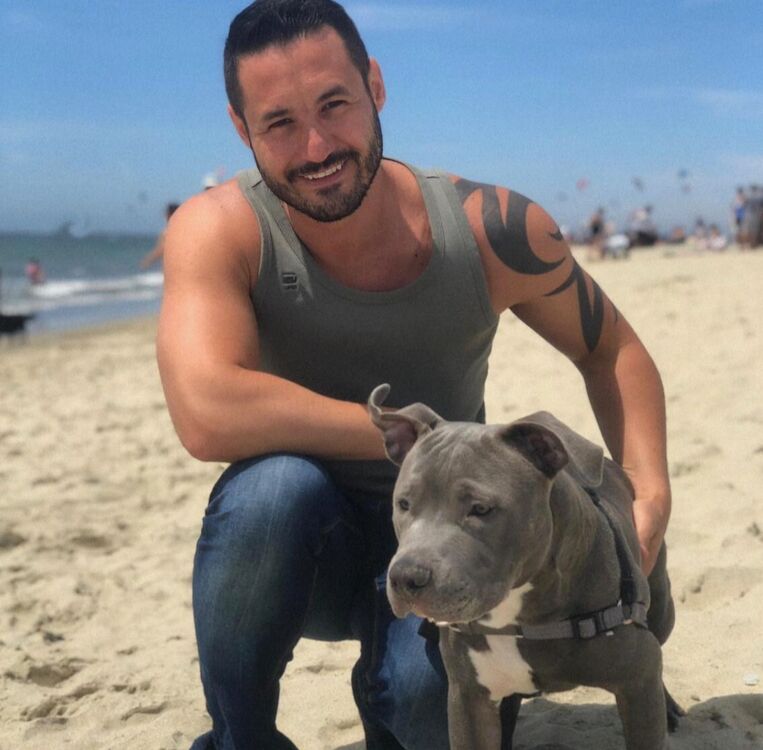 ���������� ������, ���� ������� ������, 42 ����, ������������ ��� ������, ����� � ���������, c�������� ���������