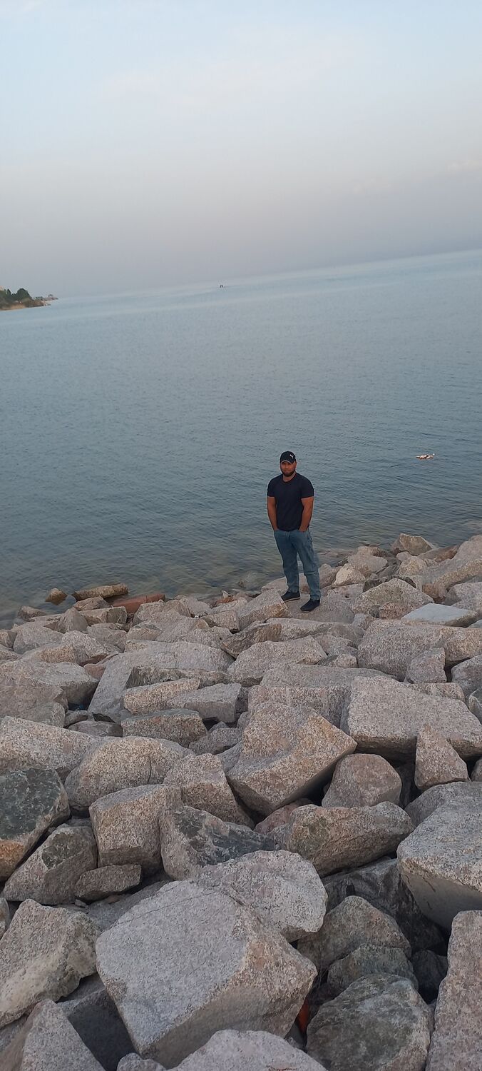  35695521  , 31 ,    