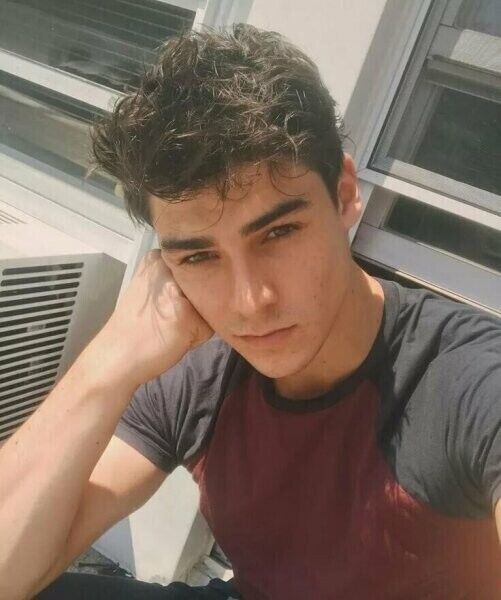 ���� 33183331 ������� ������, 27 ���, ���� ���������� � ���������