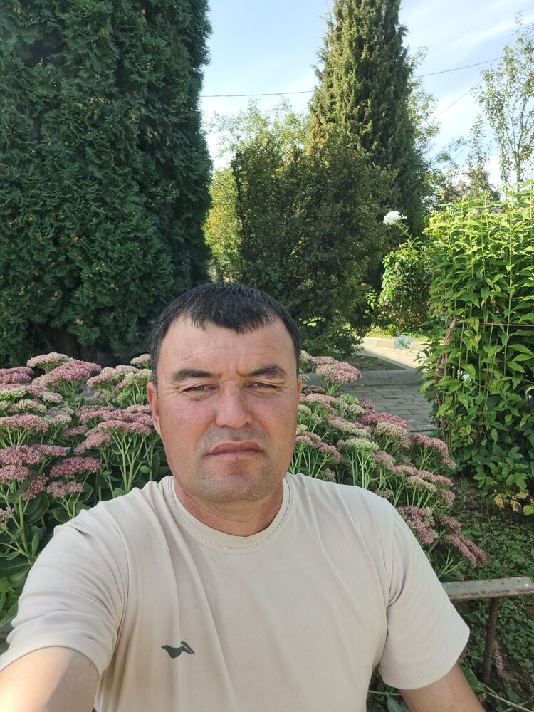  50697571  , 41 ,    