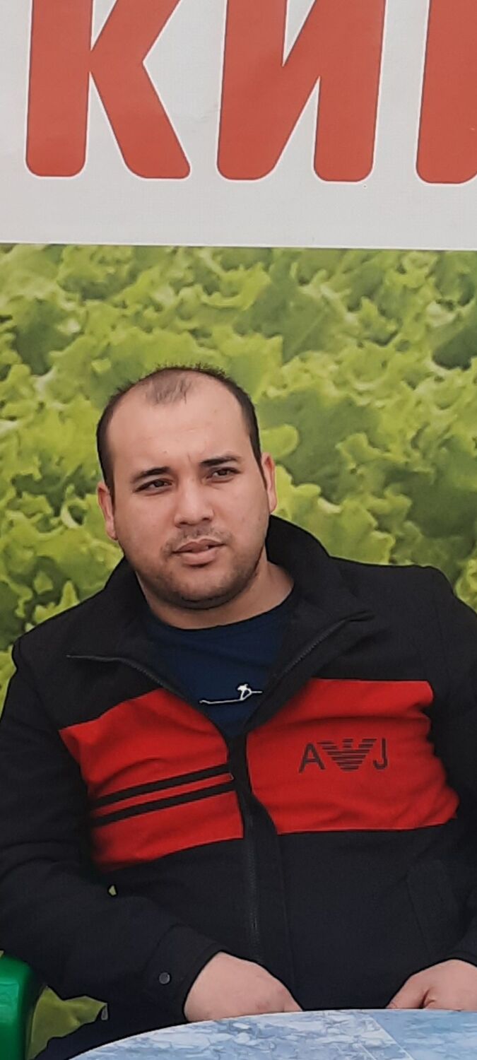  42206531  , 33 ,    