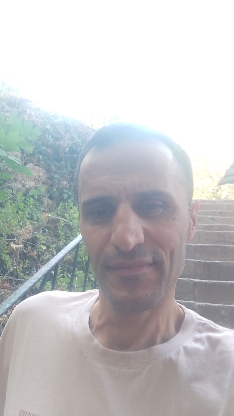  53336051  , 43 ,    