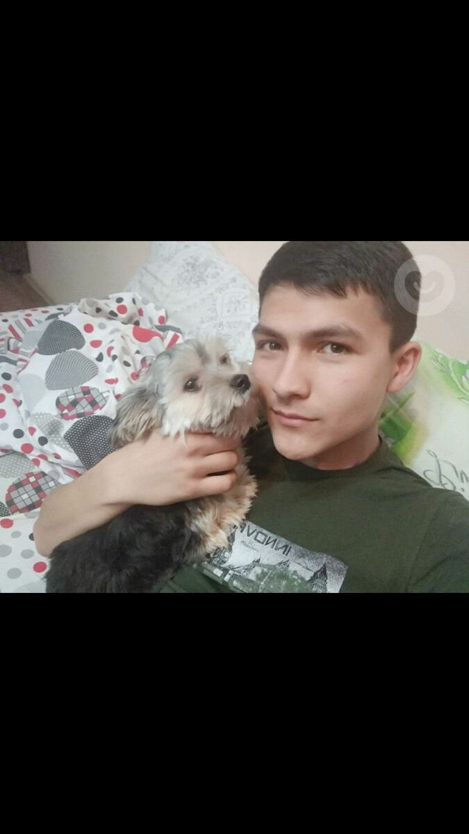 ���������� ���������, ���� ������� ������, 29 ���, ������������ ��� ������, ����� � ���������, c�������� ���������