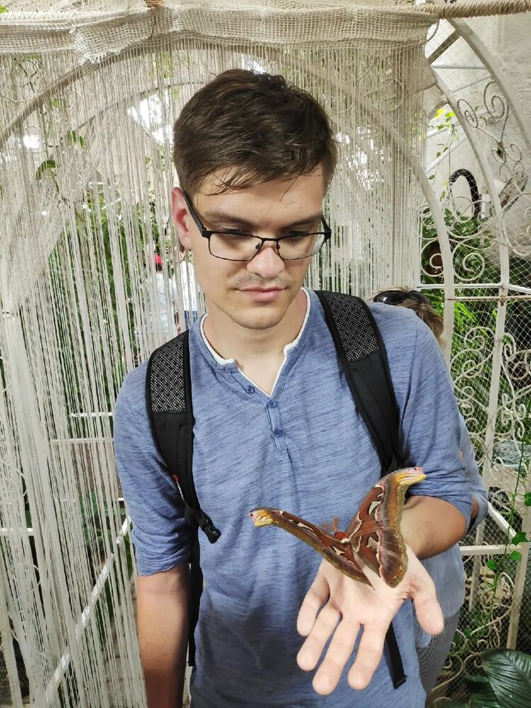 ���� 35064051 ������� ����, 29 ���, ���� ���������� � ���������