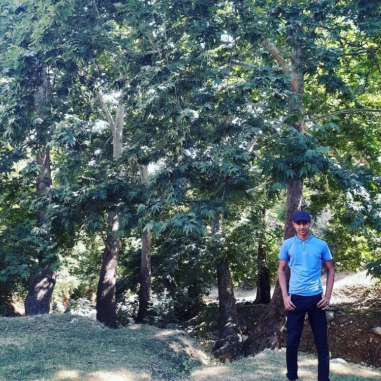 ���� 23228431 ������� ��� ��������, 27 ���, ���� ���������� � ����������