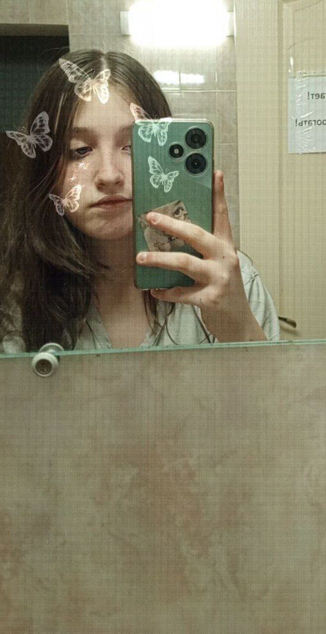  43044781  , 19 ,    