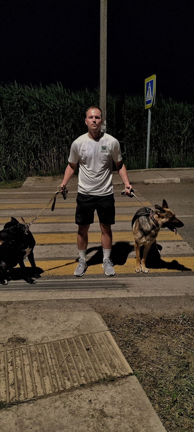 ���������� ���������, ���� ������� ˸��, 26 ���, ������������ ��� ������, ����� � ���������