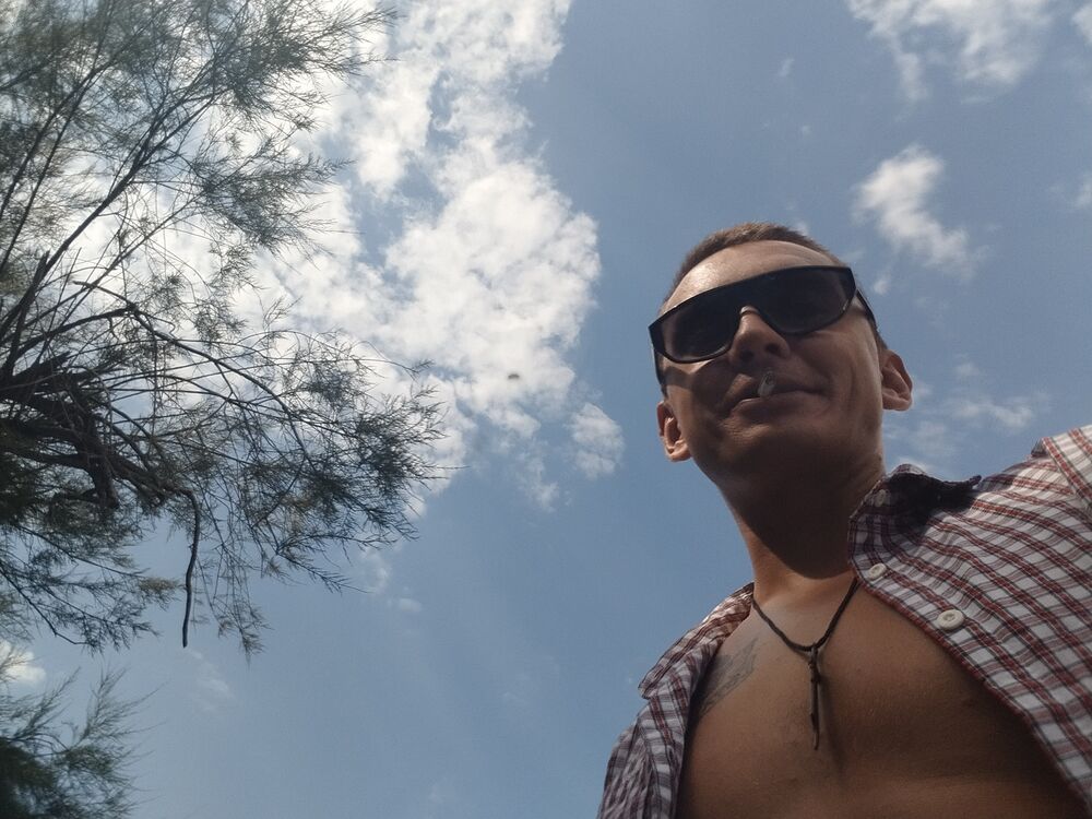  45376581  , 31 ,    