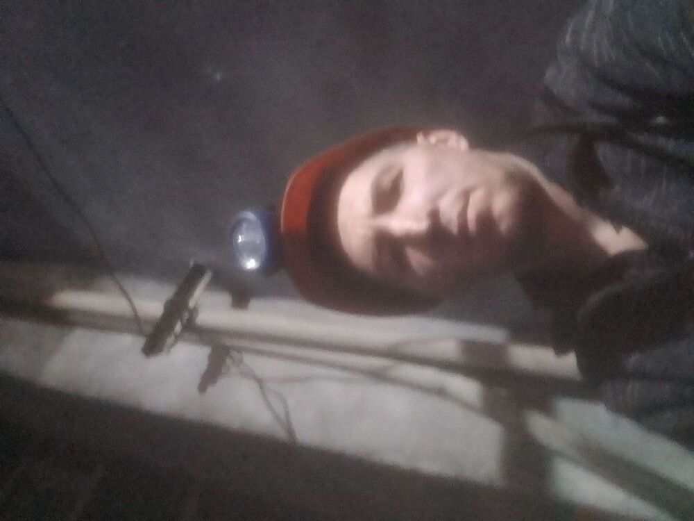 ���� 56082981 ������� �������, 43 ����, ���� ���������� � ������