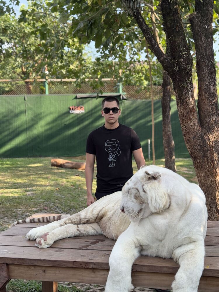 ���������� ������, ���� ����� Doze off, 23 ����, ������������ ��� ������, ����� � ���������