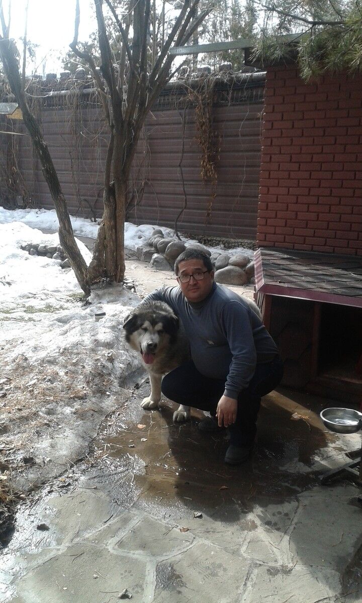 ���� 11637251 ������� �������, 49 ���, ���� ���������� � ������