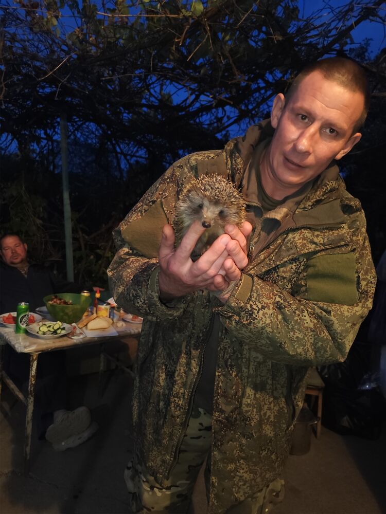 ���� 46514721 ������� �����, 42 ����, ���� ���������� � ��������