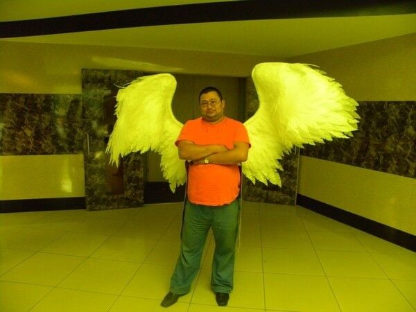 ���� 6250731 ������� ������, 48 ���, ���� ���������� � ������������