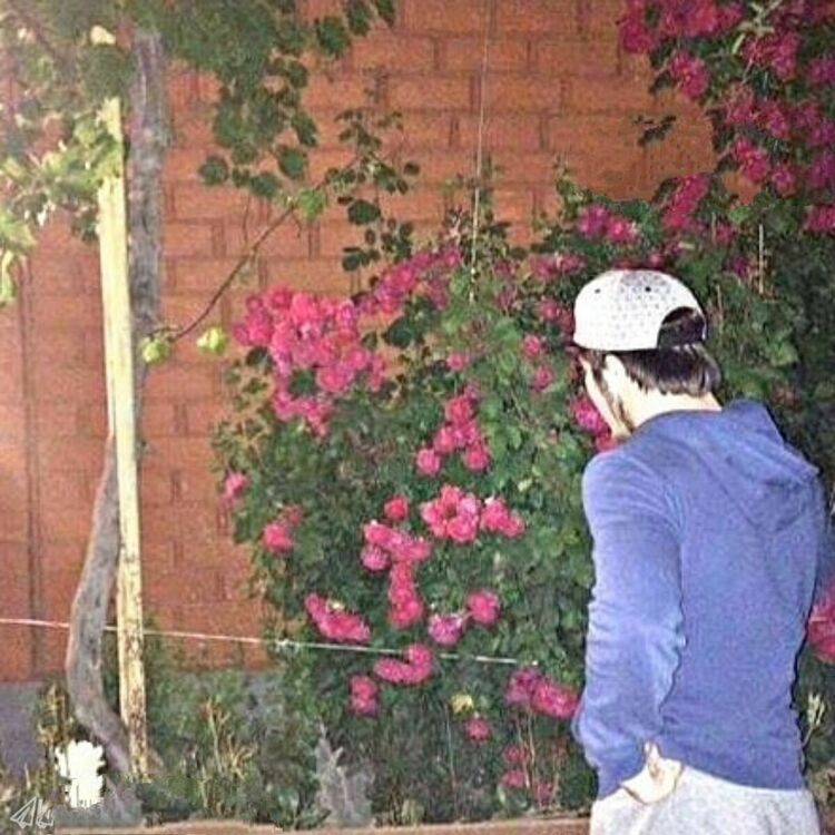 ���� 20475501 ������� DONIK, 37 ���, ���� ���������� � ��������