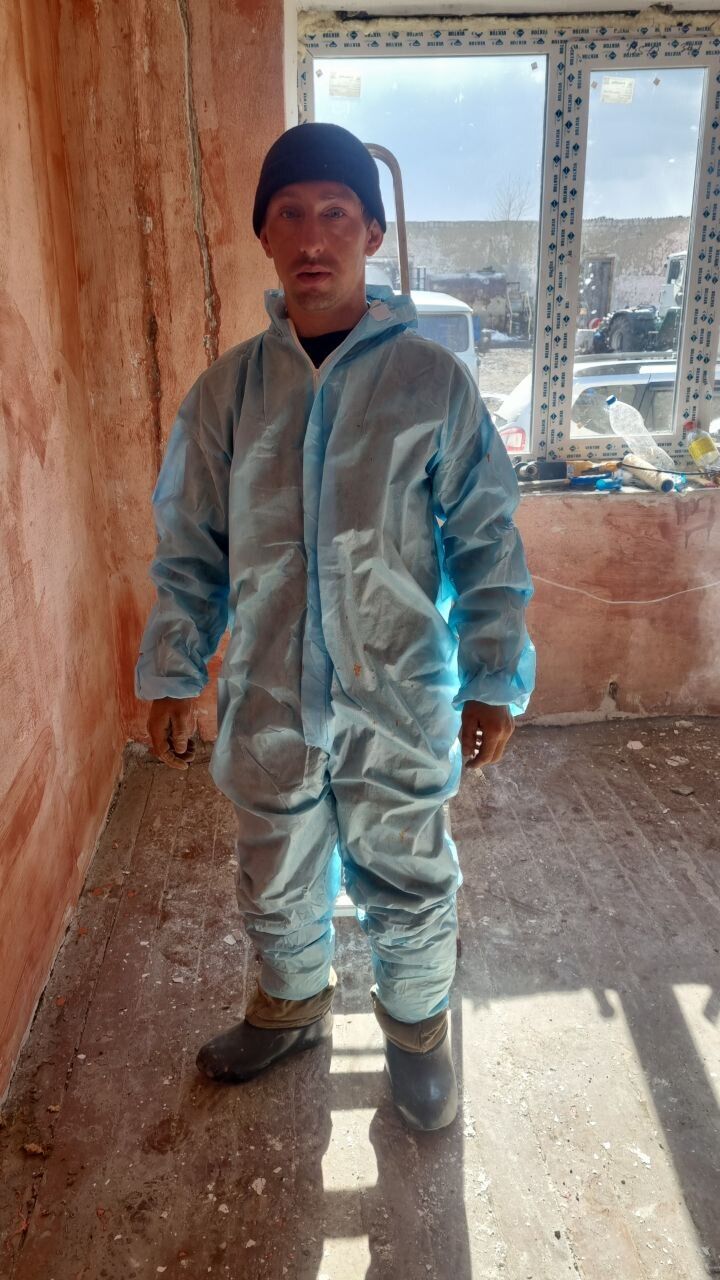  37815761  , 40 ,    